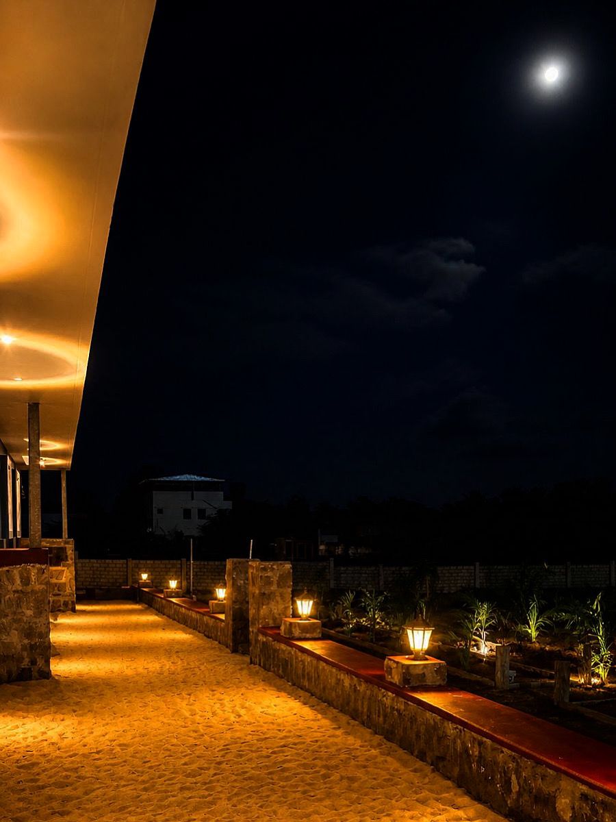 Night garden path with warm lights